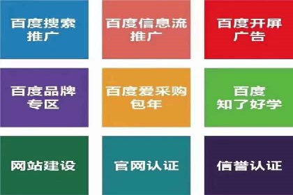 SEM竞价实战：成功案例解析